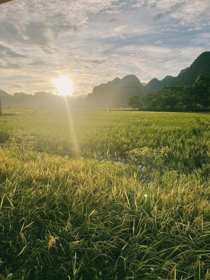 Вілла Tam Coc Windy Fields Ніньбінь Екстер'єр фото