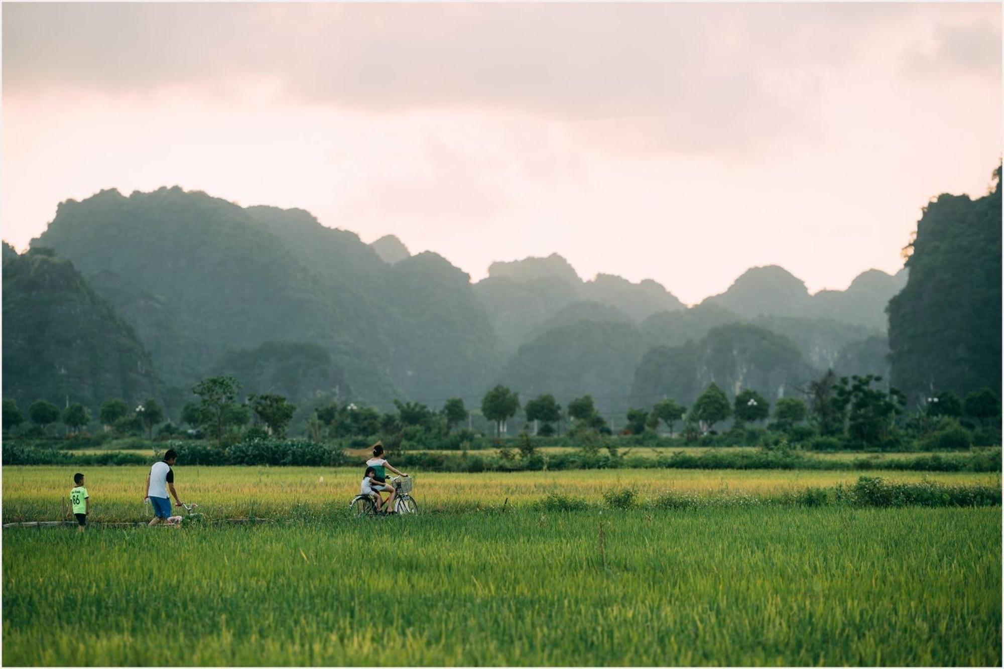 Вілла Tam Coc Windy Fields Ніньбінь Екстер'єр фото